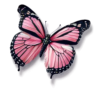 High-resolution Pink Butterfly Png 06212024 PNG image