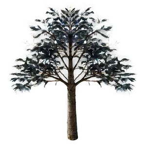 High Tree Crown View Png 06122024 PNG image