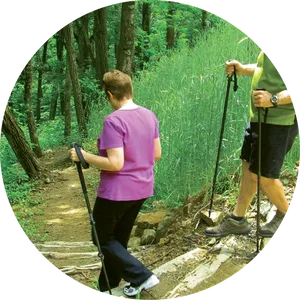 Hikers_on_ Forest_ Trail PNG image