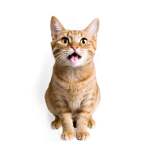 Hilarious Cat Meme PNG 70
