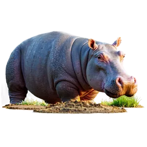 Hippo On Land PNG Ptg83 PNG