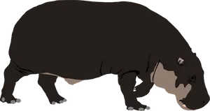 Hippopotamus Standing Profile PNG image