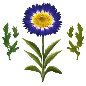Hipster Indie Flower PNG 06252024