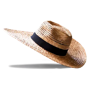 Hipster Straw Hat PNG 05252024