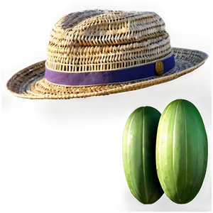 Hipster Straw Hat Png 22 PNG image