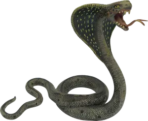 Hissing Snake Black Background PNG image