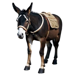 Historic Mule Image PNG 91