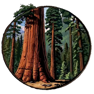 "historic Sequoia Tree PNG" Bol89