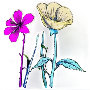 Historical Flower Sketch PNG 21 PNG