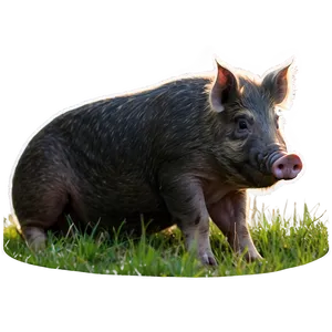 Hog At Dawn Png Vux PNG image