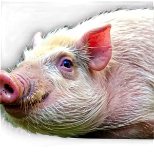 Hog At Dusk PNG 83 PNG