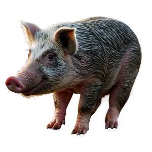 Hog Clipart Png 06252024 PNG image