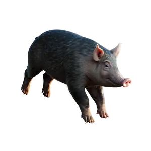 Hog Drawing PNG Pmn99 PNG