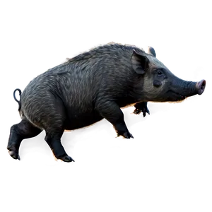 Hog Drawing PNG Sni90 PNG