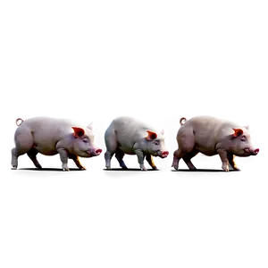 Hog Family PNG Umk PNG