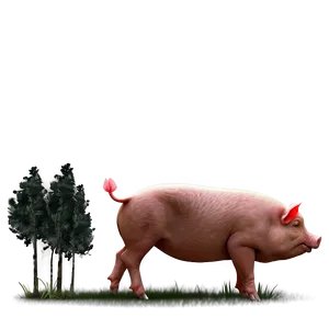 Hog Illustration PNG 06252024