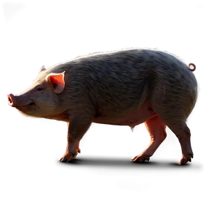Hog Illustration PNG 11