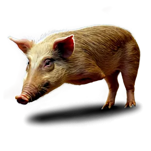 Hog In Action PNG Tnr