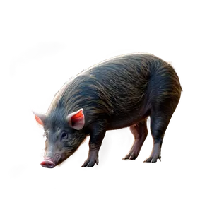 Hog In Forest PNG 06252024