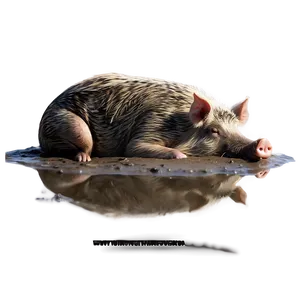 Hog In Mud PNG 25 PNG