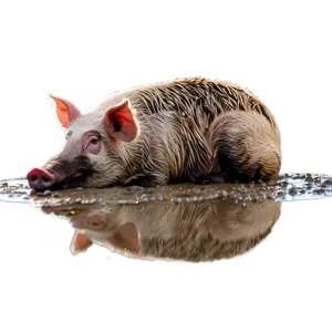 Hog In Mud PNG Edx PNG
