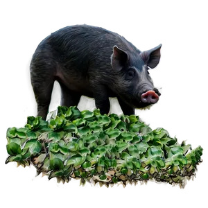 Hog On Farm PNG Pad33