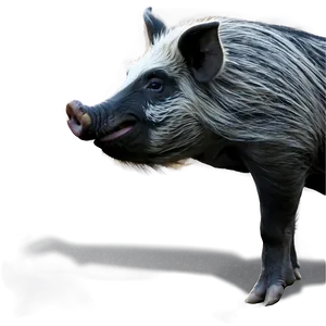 Hog Side View PNG 06252024 PNG
