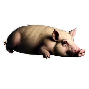 Hog Sketch Png 69 PNG image