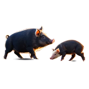 Hog With Piglets PNG 06252024