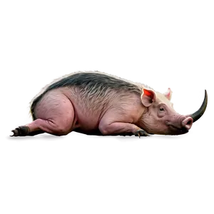 Hog With Tusks Png Msg PNG image