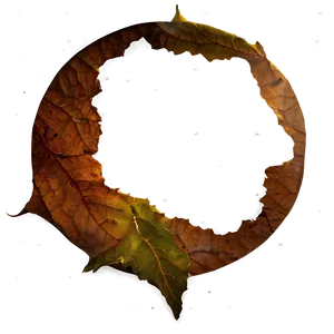 Hole In Leaf PNG Uov4 PNG