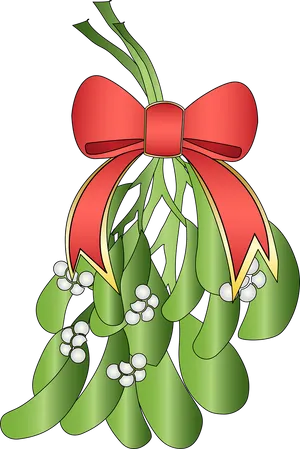 Holiday Mistletoe Illustration PNG image