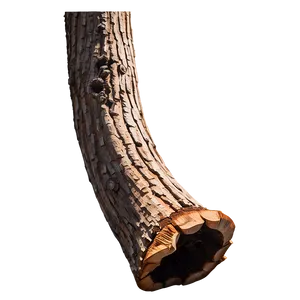 Hollow Tree Trunk PNG 05242024
