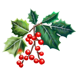 Holly And Ivy PNG 18