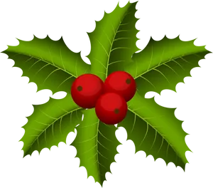 Holly Berries Illustration PNG