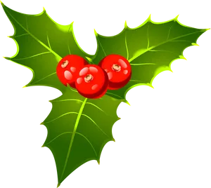 Holly Berries Leaf Clipart PNG image