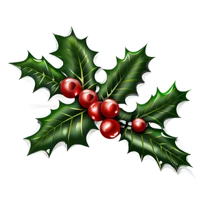 Holly Illustration Png 20 PNG image