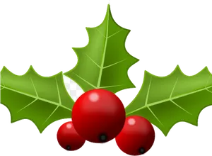 Holly Leaves Berries Clipart PNG image