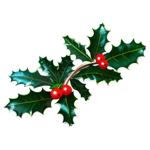 Holly PNG 47