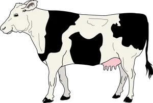 Holstein Friesian Cow Illustration PNG image