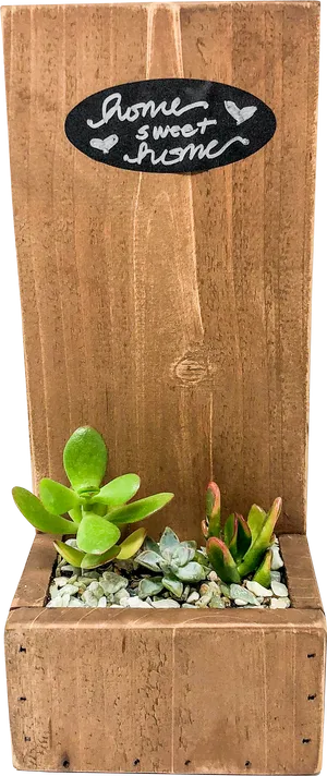 Home Sweet Home Succulent Planter PNG image