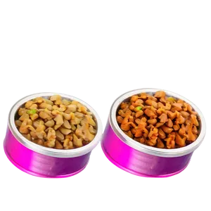 Homemade Dog Food PNG 05252024