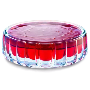 Homemade Jello Recipe Png 06132024 PNG image