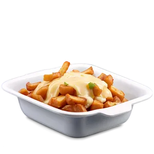 Homemade Poutine Dish PNG 85