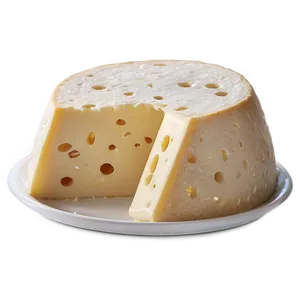 Homemade Swiss Cheese PNG 66
