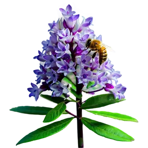 Honey Bee Attracted Bush Png 05252024 PNG image
