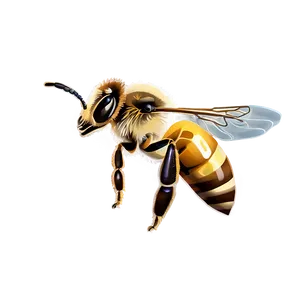 Honey Bee Png Icr17 PNG image