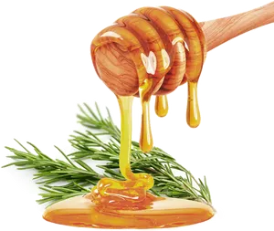 Honey Drippingon Rosemary Sprig PNG image