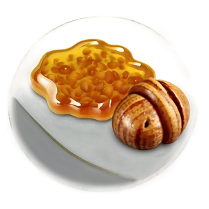 Honey With Nuts Png 05242024 PNG image