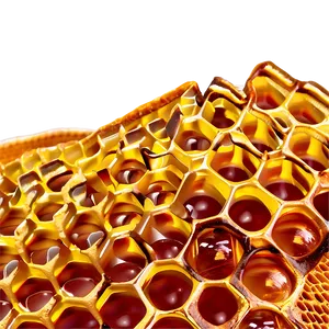 Honeycomb Closeup Png 05242024 PNG image